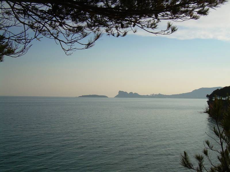 Avocat en droit du travail Saint Cyr Sur Mer pour licenciement économique